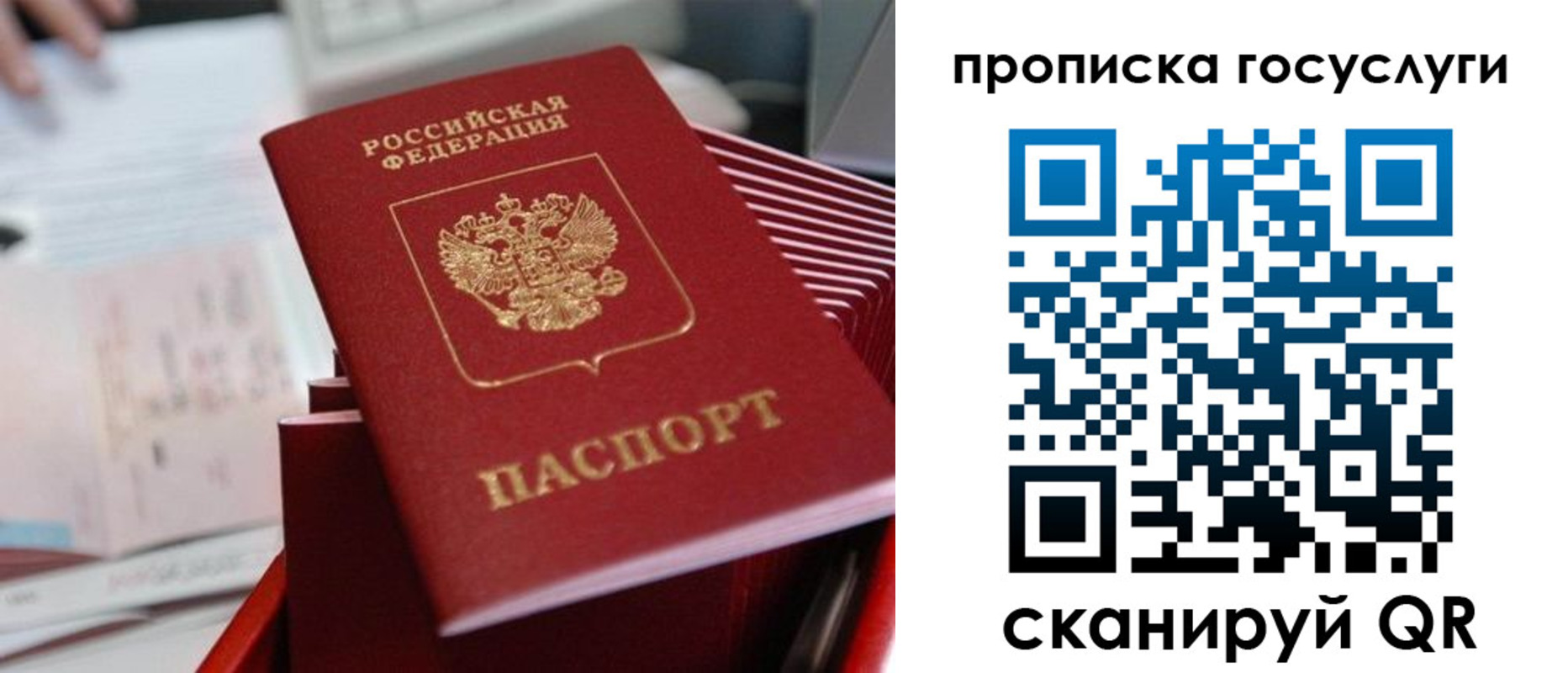 прописка законно в Красноярском крае